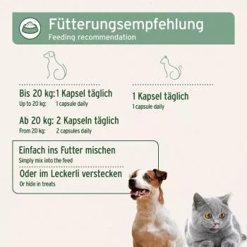 Lachsöl Omega 3 - Kapseln